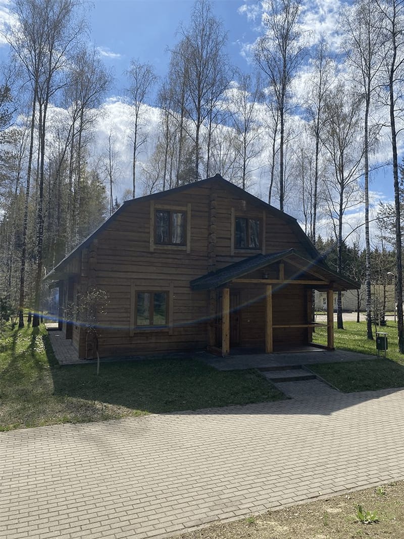 Деревянный коттедж среди берёз